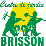 Denis Brisson
