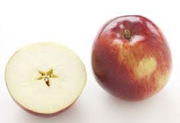 Malus Duchesse / Pommier Duchesse