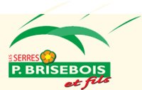 P Brisebois & Fils