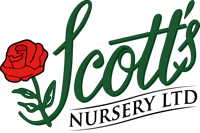 scott nursery